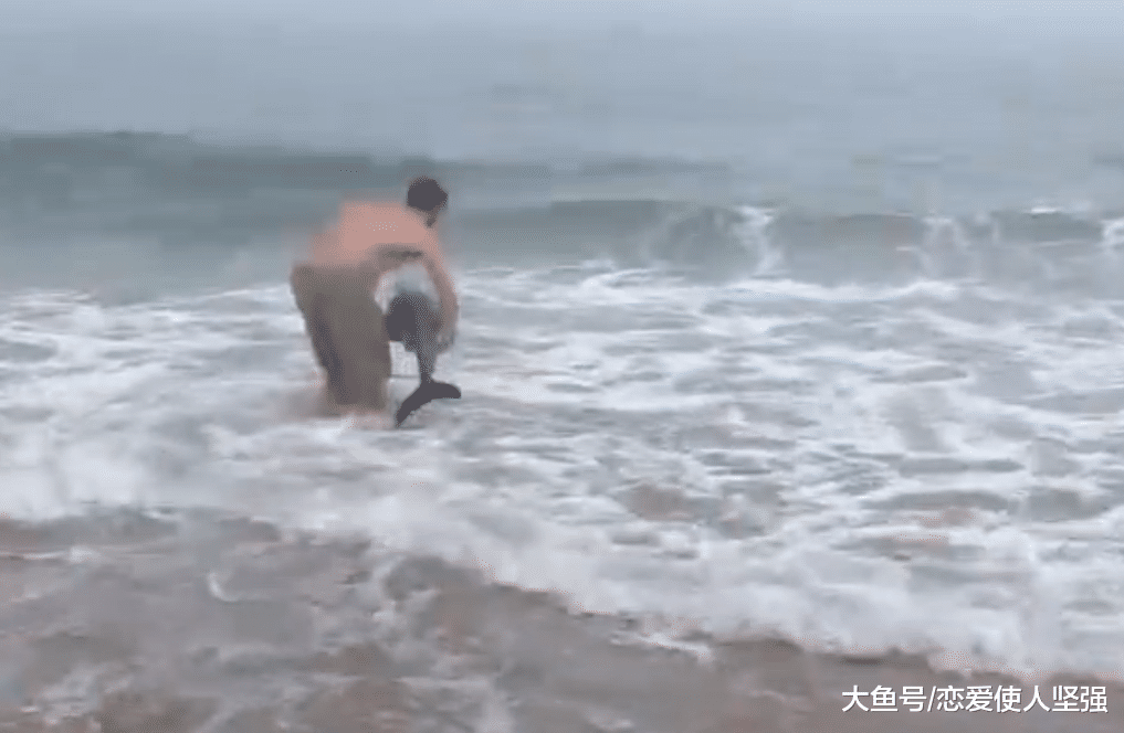 男子救搁浅的小海豚，海豚却回头向他表示感谢！
