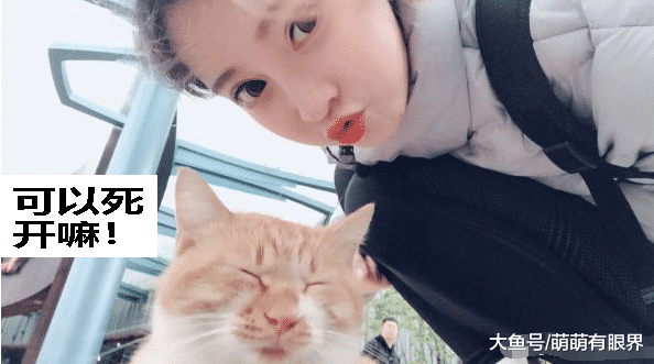冯提莫搭讪流浪橘猫，却被一脸嫌弃：啥网红？分明在蹭我橘猫的流量