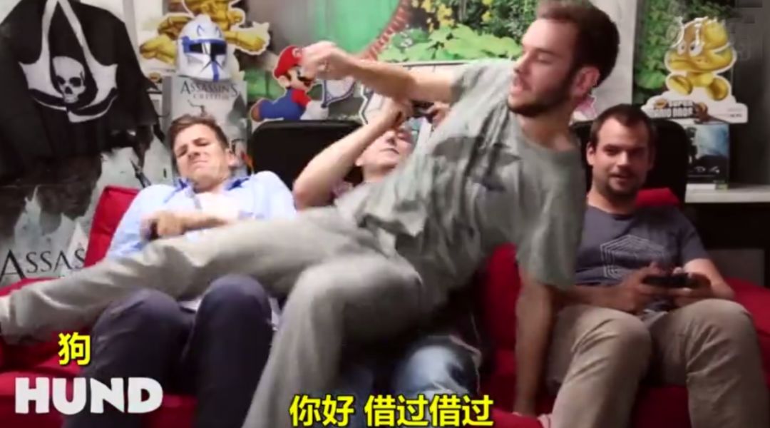 什么！？爱猫的我竟然是犬系的？