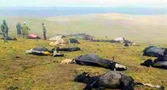 1983年的昆仑山上， 科考队到底发现了什么？