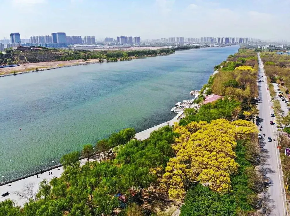 河北省发文！滹沱河沿线大发展！构建路网布局+打造经济带！沿河旁这个教育大盘迎利好！