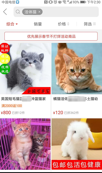 賺翻？120元在拼多多上購買中華田園貓有多可怕
