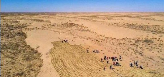 短短3年，马云的“天价”蚂蚁森林，曝光真实画面，网友呆住了！