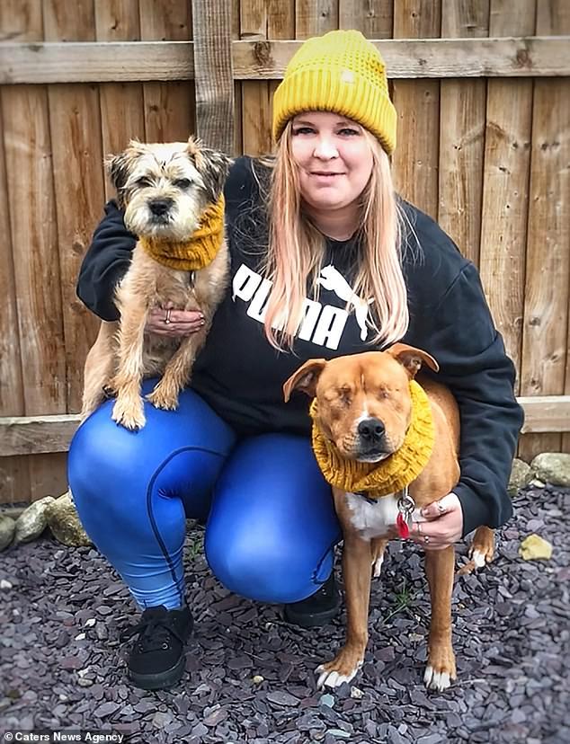 主人新收养失明的狗狗，家里霸道狗不凶它，还帮赶跑欺负它的狗