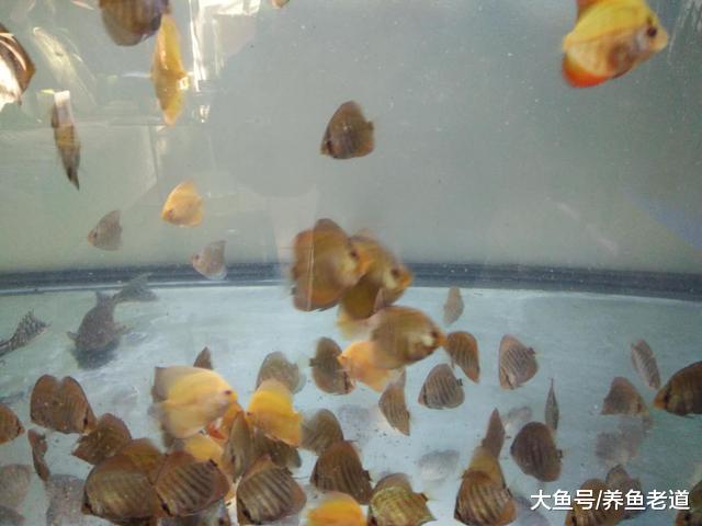 两个同样的鱼缸同样的水泵, 为什么过滤效果不一样?