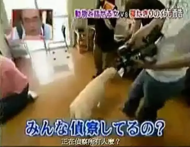 狗狗即将离世，有人翻译出了狗狗的遗言，眼泪控住不住了------