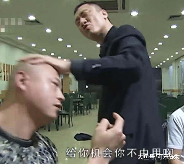 二哈意图偷袭猫咪，反被怼到角落里，猫咪：给你机会你也不中用啊