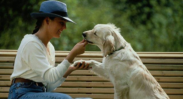 给狗子太多零食的三个坏处，我都知道可我没法拒绝你啊