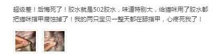 请恕我孤陋寡闻，直到今天我才知道竟然有人去给猫咪做去爪手术