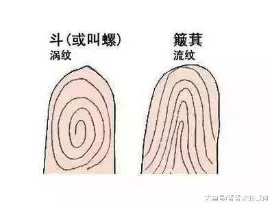 俗语“一螺穷，二螺富，三螺四螺卖豆腐”是真的吗？其中饱含智慧