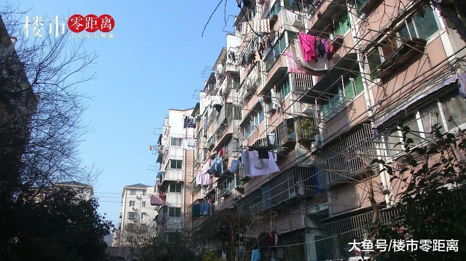 50岁的孙楠也在租房住！南京租客平均年龄36岁，租着租着我们就“老”了
