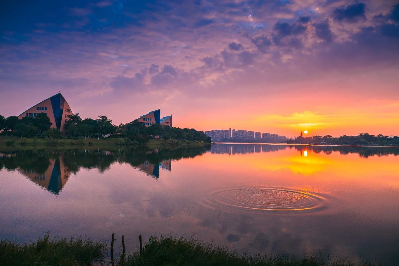 他在这里找到了归属感，从此在深圳风生水起