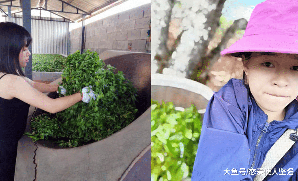 13岁女孩出社会打工，五年后回家乡成大美女，卖茶做得风生水起！