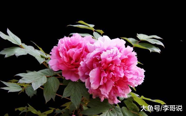 2019，少和这个人来往！