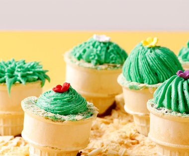 盆栽仙人掌蛋糕