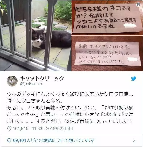 以前常常来串门的“猫客人”不再出现，时隔几年才知道…