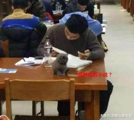 大学生拿禁带物品到图书馆, 管理员却闭一只眼: 这魅力无人能抗拒