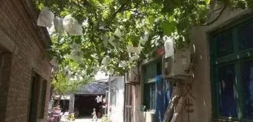 很多五台人在城里打拼并安家，为什么还要在农村老家留套房