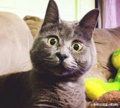 出门旅游，竟然还能在公共厕所做这些事情，你良心何在？