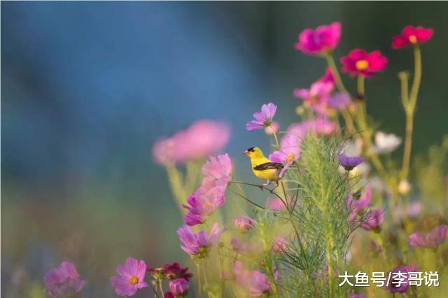 四个字，写尽人生（太深刻了！）