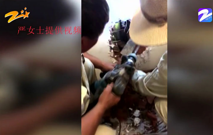 购房置业|女子花毕生积蓄买房,却要每天在家打虫子:都是物业干的好事