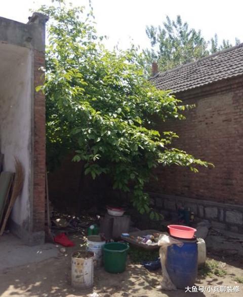 我的农村婚房，几间破平房，院里泥巴地，还有比这更寒酸的吗？