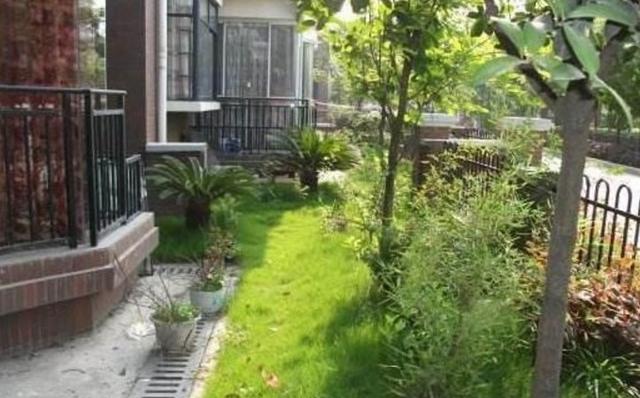 有钱人为何从不购带院子的房子？咱们听内部人士说吧