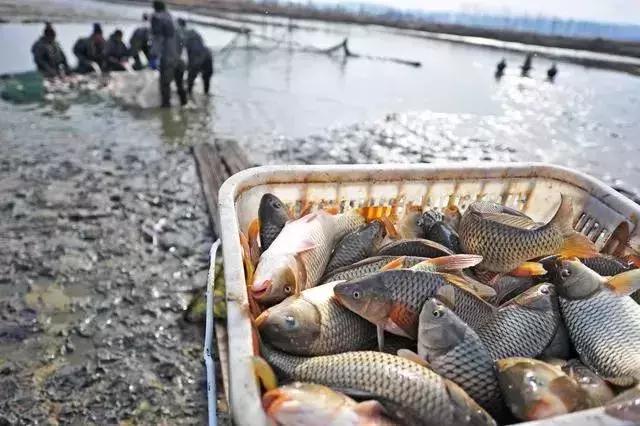 太冷门！老洛阳人都找不到！这些神秘景点是时候曝光啦！