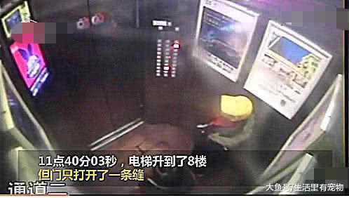 電梯出現故障，8歲孩子機智自救，父母教的太好了！