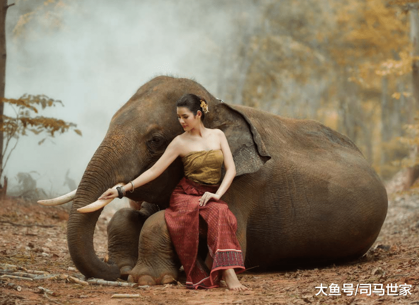 梁山最“聪明”的人是他？看透了宋江的结局，跑到“泰国”当国王！