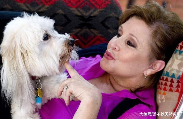 狗狗的这5个奇怪特质，如果没有，那恭喜你养了一只假狗