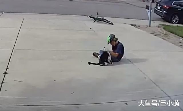 邻居男孩疯狂撸猫，撸到躺地上，主人：很开心他不嫌弃独眼猫咪