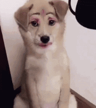 我做错了什么，要这样对我，没脸见人了