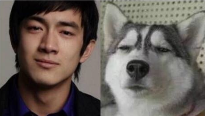 你看我像明星不 ????