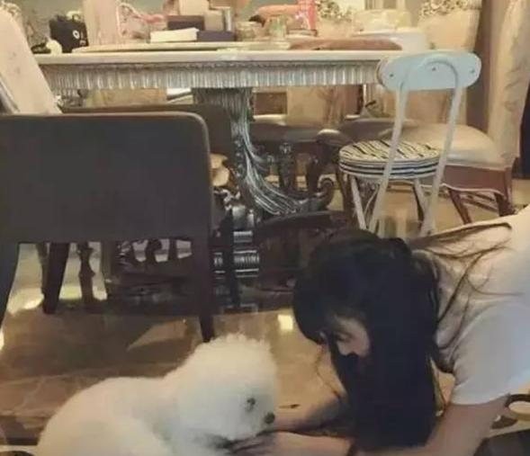 参观赵丽颖现实的豪宅，全屋是巴洛克风格，装修布置太气派了