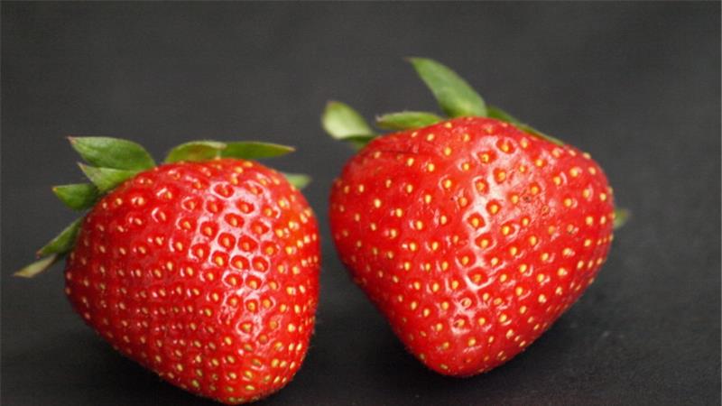 草莓老是生病，尤其灰霉病症状？这样做效果最好