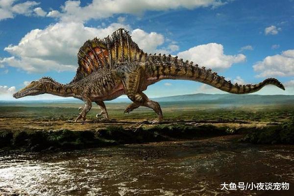 棘龍怕什么恐龍，棘龍能打敗霸王龍嗎？
