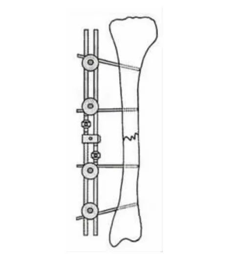 猫咪狗狗骨折了怎么办？扒一扒宠物“骨子里”的那些事