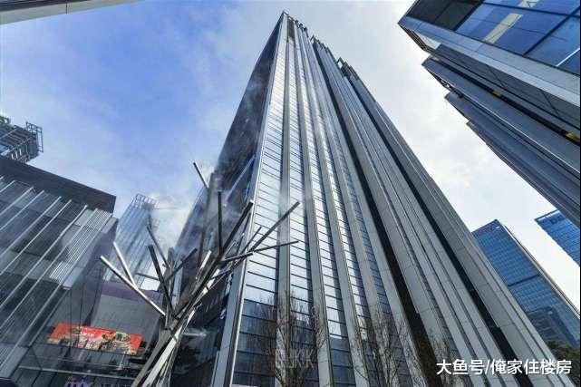 深圳：有些“锅”，房价该背；有些“锅”，房价背不起！