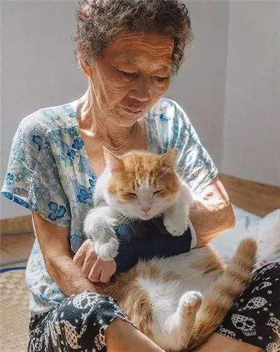 被奶奶带大的橘猫, 就是和别人家的不一样哈