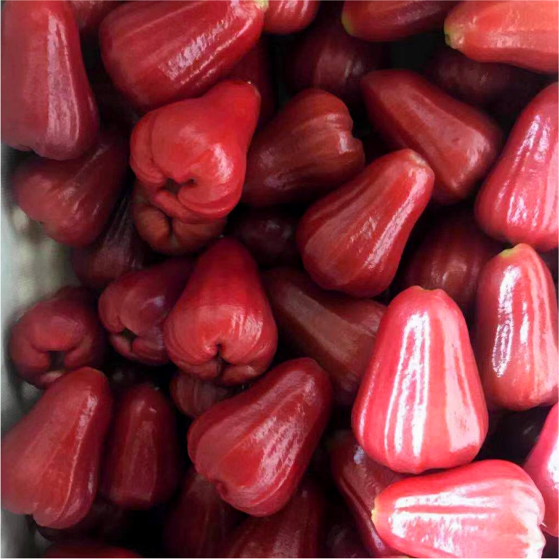 六月吃这几种应季水果，教你怎么吃！