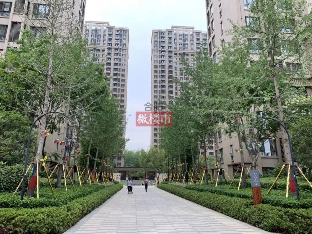 合肥某顶级学区房“有价无市”？！中介：涨了也卖不出去