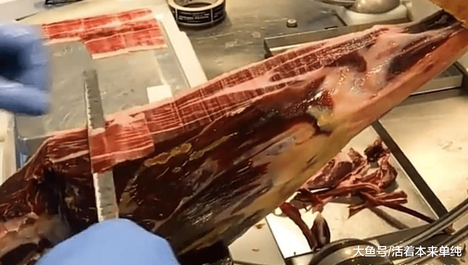 全世界最贵的火腿, 切的时候得用镊子拿起来, 顾客还舍不得吃