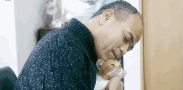 我虽然长得很凶，但我爱猫啊！