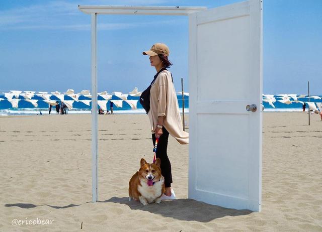 肥臀柯基的育仔日记，带领毛毡娃娃上山下海：看，这都是我的小弟