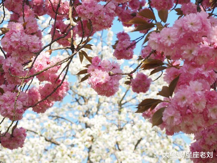 10月下旬运势节节高，财路大开，赚得金银满仓的3大生肖