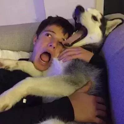 心心念念渣男头像来啦
