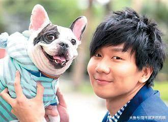 法國斗牛犬性格親人，價格卻不親民，歸根結底是這5個原因！