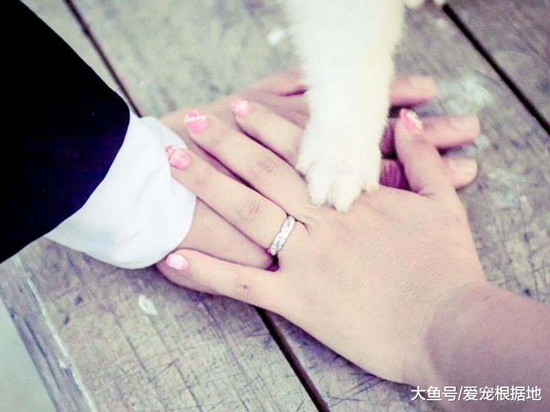 9只爱犬被突发火灾夺去生命，主人含泪发文提醒，用电安全很重要