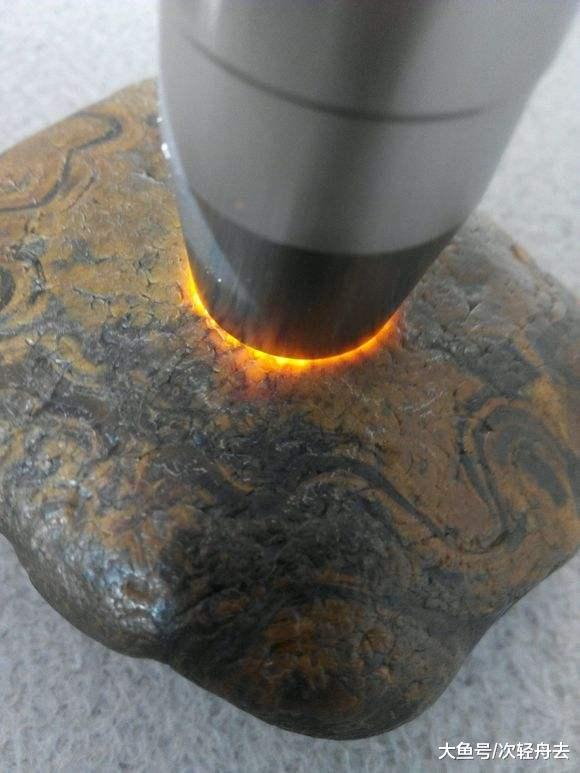 ＂现在文玩市场又出现一种新的玉石——桫椤玉，你听说过么＂